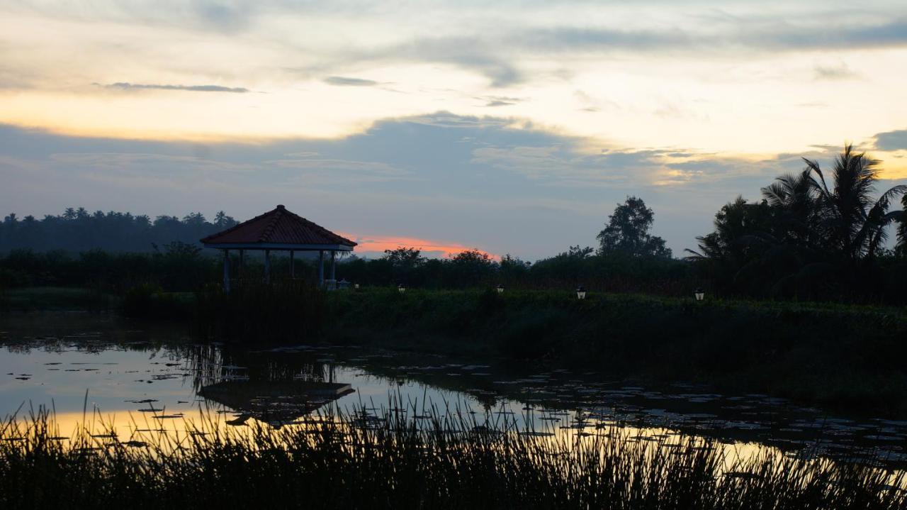 Ayubowan Swiss Lanka Bungalow Resort ベントータ エクステリア 写真